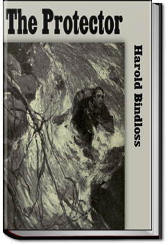 The Protector | Harold Bindloss