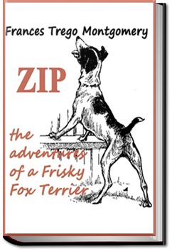 Zip, the Adventures of a Frisky Fox Terrier | Frances Trego Montgomery