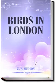 Birds in London | W. H. Hudson