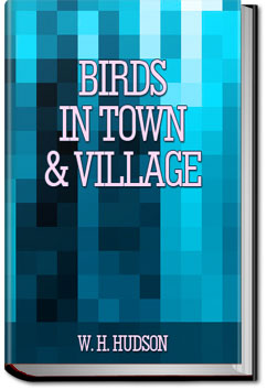 Birds in Town and Village | W. H. Hudson