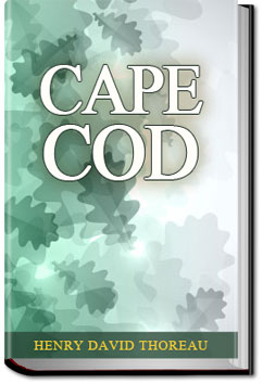 Cape Cod | Henry David Thoreau