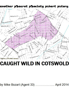 Caught Wild In Cotswold | Mike Bozart