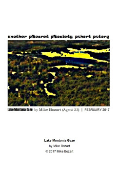 Lake Montonia Gaze | Mike Bozart