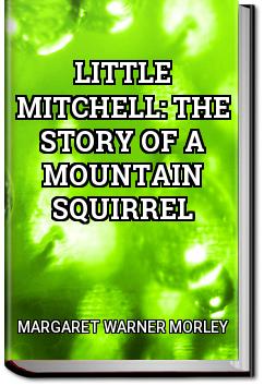 Little Mitchell: The Story of a Mountain Squirrel | Margaret Warner Morley