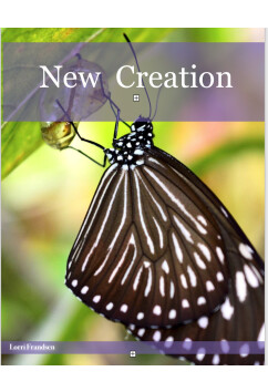 New Creation | Lorri Frandsen
