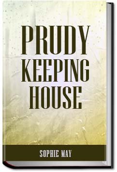 Prudy Keeping House | Sophie May