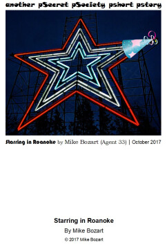 Starring In Roanoke | Mike Bozart