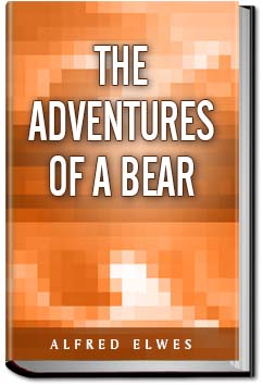 The Adventures of a Bear | Alfred Elwes