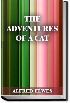 The Adventures of a Cat | Alfred Elwes