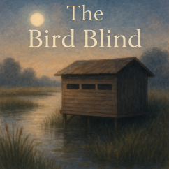 The Bird Blind | Sleep & Relaxation