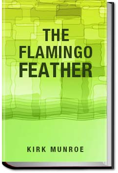 The Flamingo Feather | Kirk Munroe