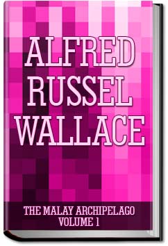 The Malay Archipelago, the land of the orang-utan | Alfred Russel Wallace