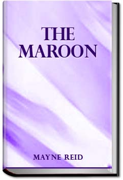 The Maroon | Mayne Reid