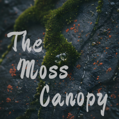 The Moss Canopy | Sleep & Relaxation