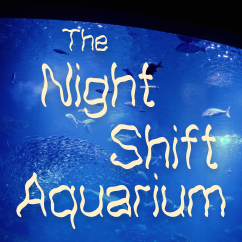 The Night Shift Aquarium | Sleep & Relaxation