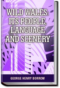 Wild Wales: Its People, Language and Scenery | George Henry Borrow